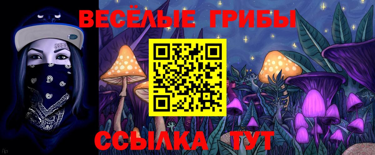 продажа наркотиков  Псилоцибиновые грибы мухоморы  Вход с VPN  Клин 